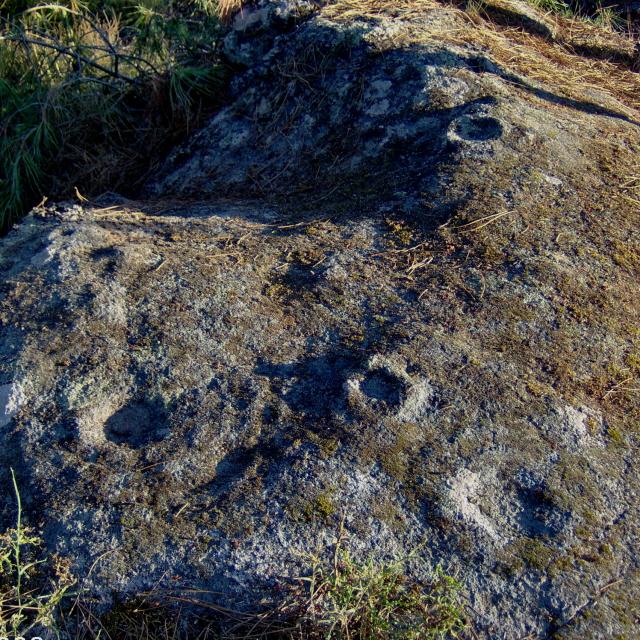 Petroglifos de A Ermida (Eiras, San Amaro). El Norte del panel está al pie de la foto.